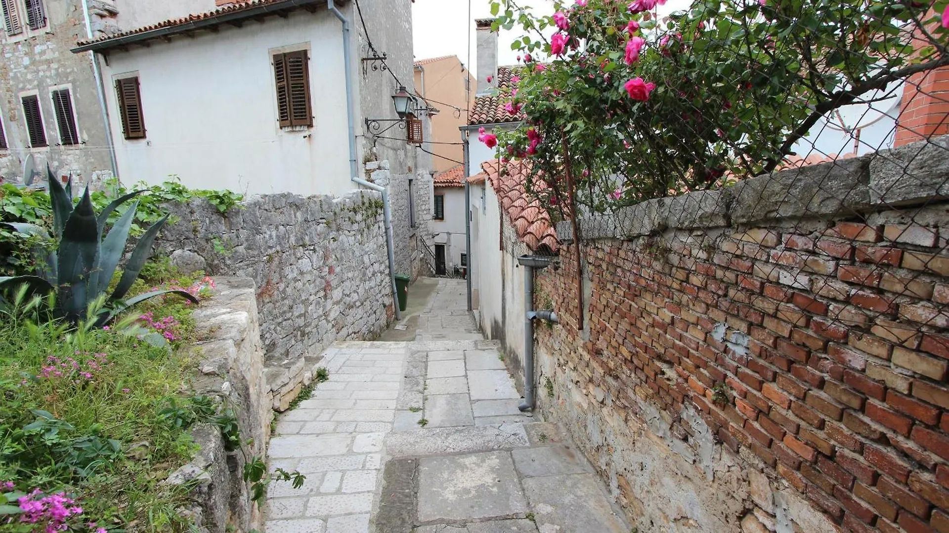 Apartment Riki Rovinj 0*,  Croatia