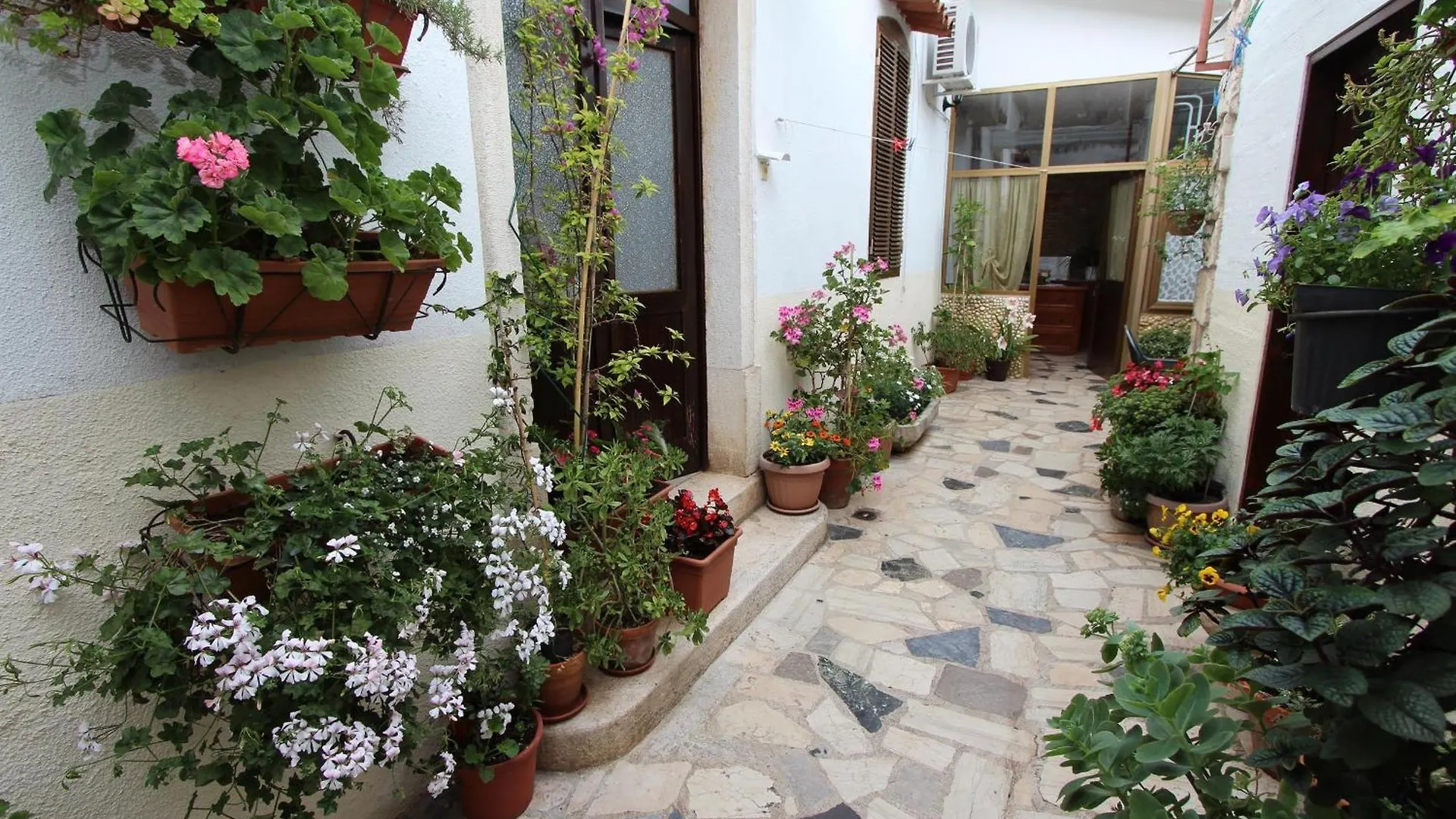 Apartment Riki Rovinj